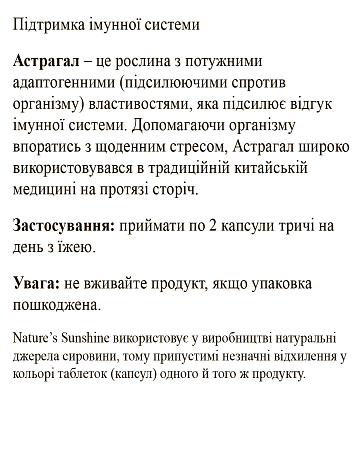 Астрагал (Astragalus)