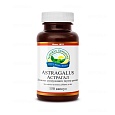 Астрагал (Astragalus)