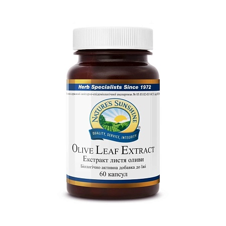Екстракт листя оливи (Olive Leaf Extract)