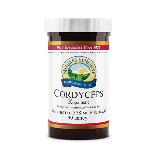 Кордицепс (Cordyceps)