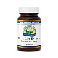 Екстракт листя оливи (Olive Leaf Extract)