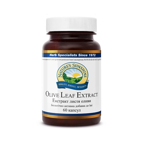 Екстракт листя оливи (Olive Leaf Extract)