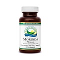 Морінда (Morinda)