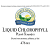 Хлорофіл рідкий (Chlorophyll Liquid)