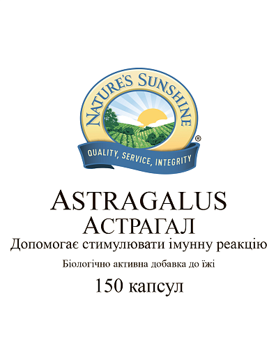 Астрагал (Astragalus)