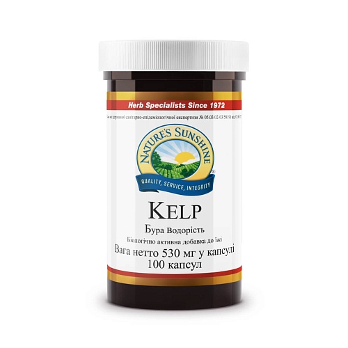 Бура водорість (Kelp)