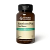 Боярышник Плюс (Hawthorn Plus)