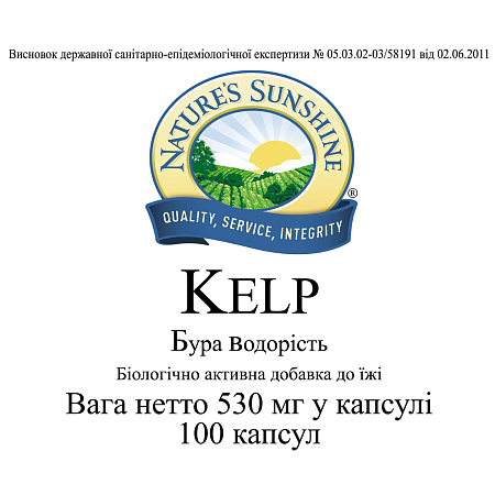 Бура водорість (Kelp)