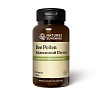 Бджолиний пилок (Bee Pollen)